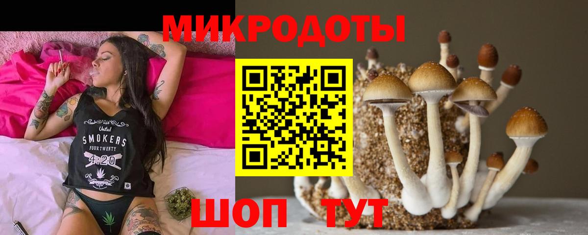 Галлюциногенные грибы ЛСД Тихорецк